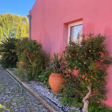Casa Das Jardas Idanha-a-Nova Zewnętrze zdjęcie