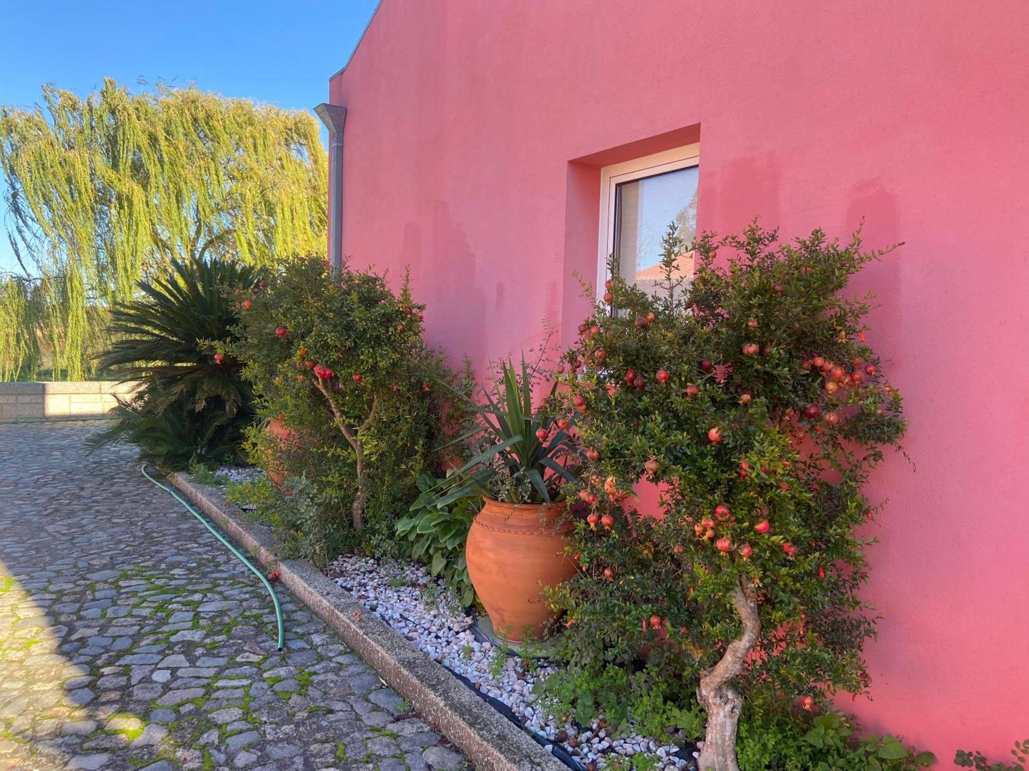 Casa Das Jardas Idanha-a-Nova Zewnętrze zdjęcie